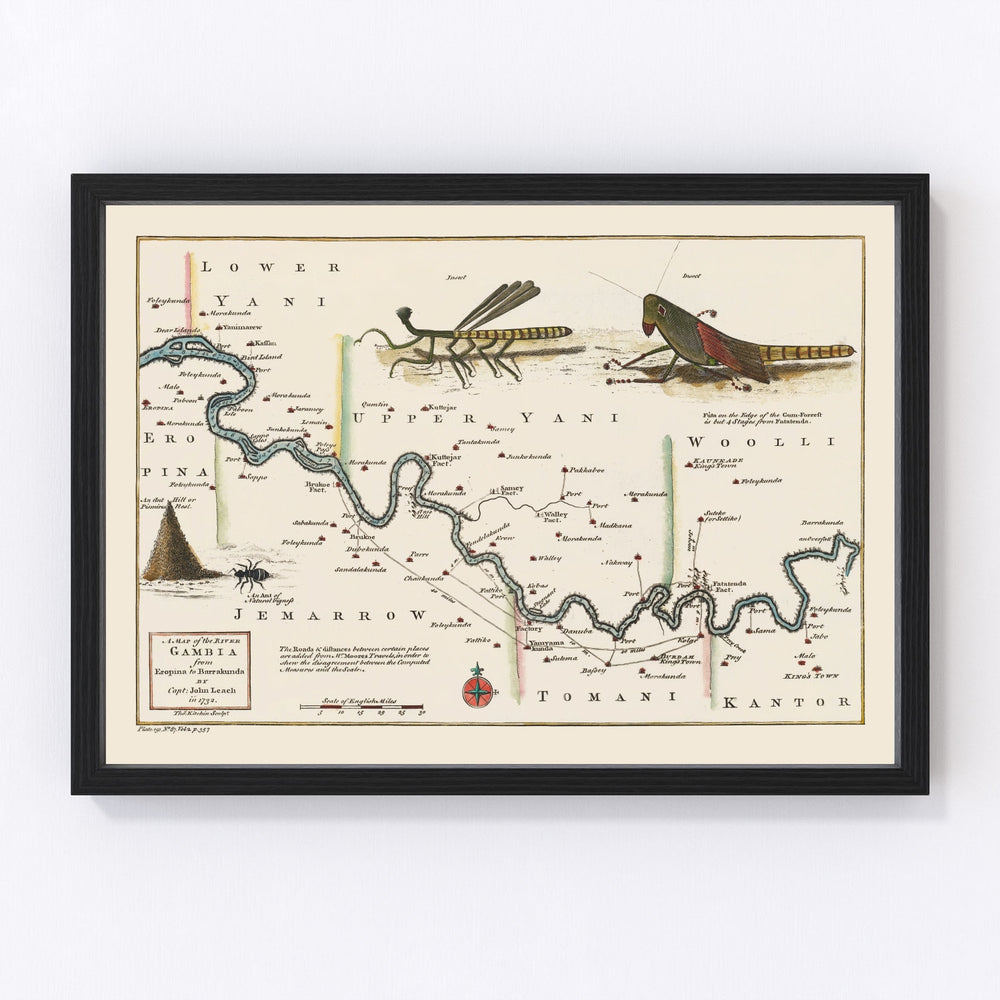 Middle Gambia River Vintage Map 1752