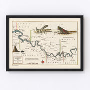 Middle Gambia River Vintage Map 1752