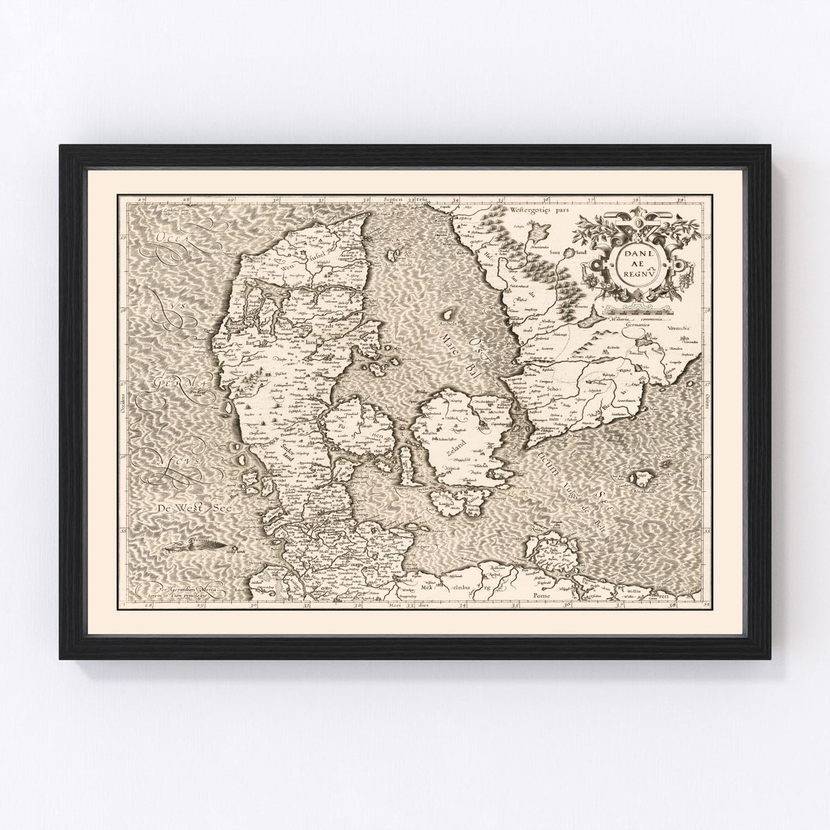 Denmark Vintage Map 1595