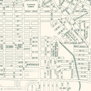 old Savannah map