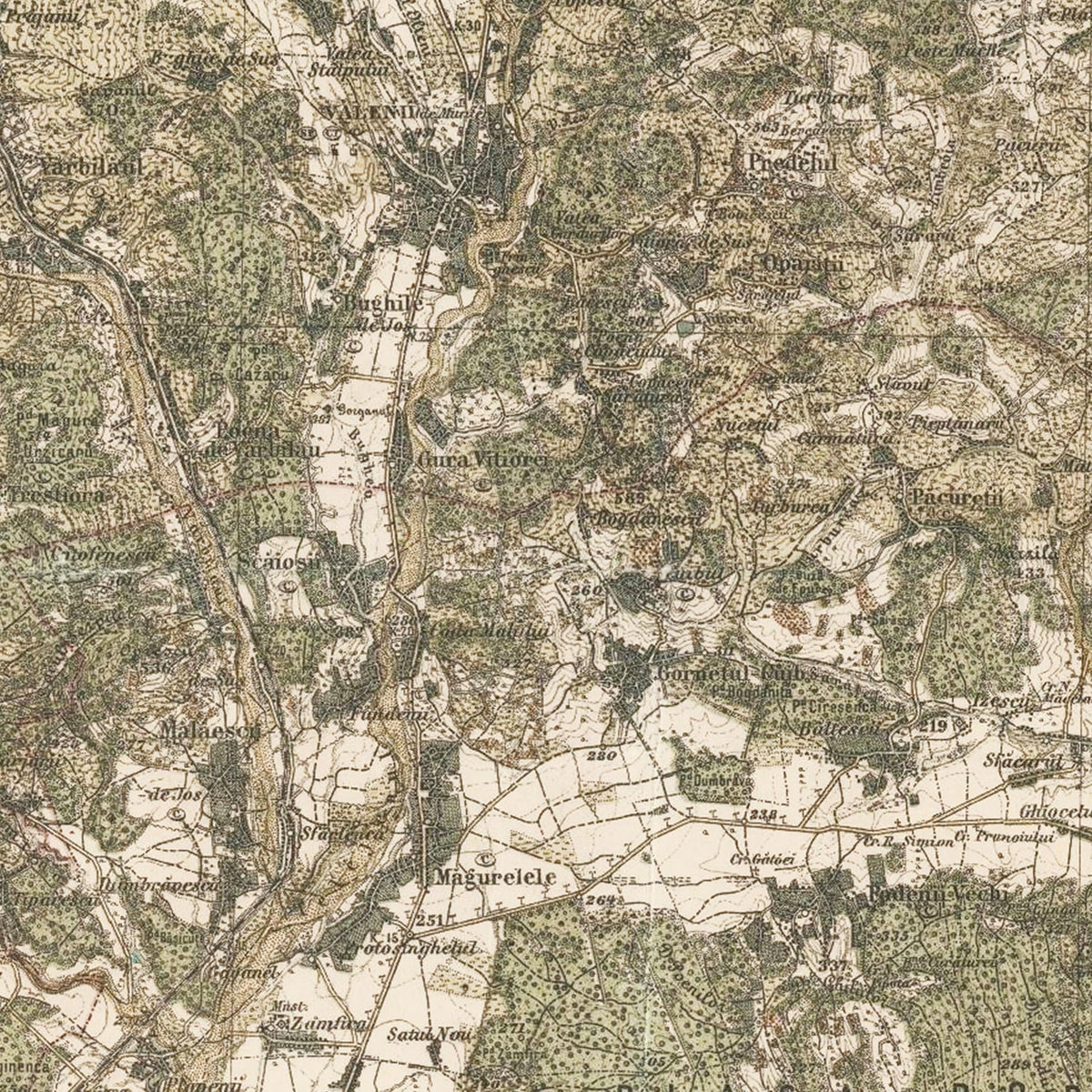 Vintage Romania Maps