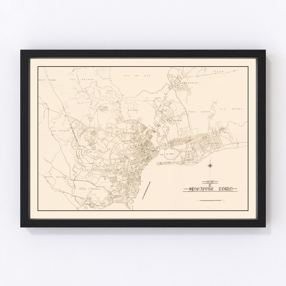 Singapore City Vintage Map 1930