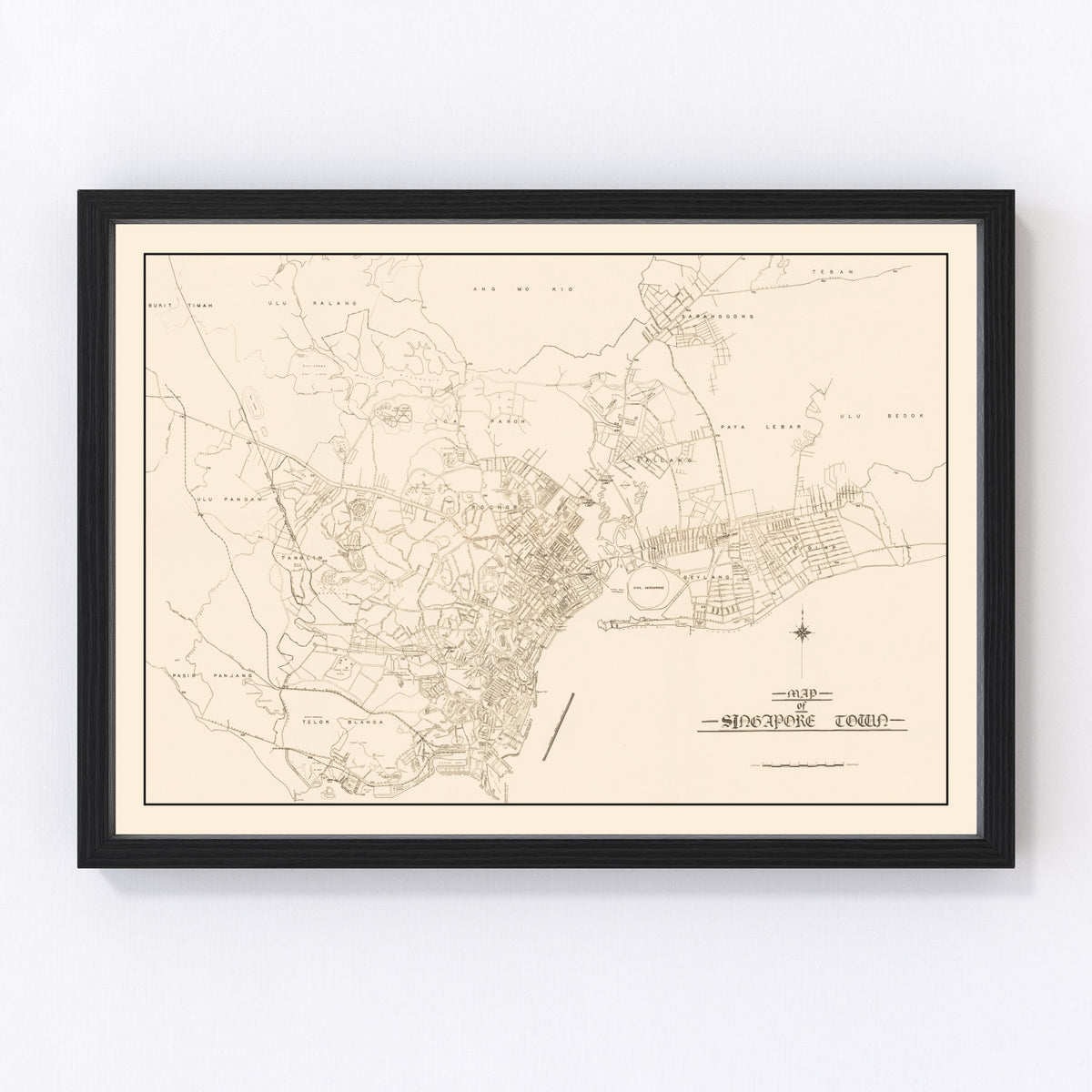Singapore City Vintage Map 1930