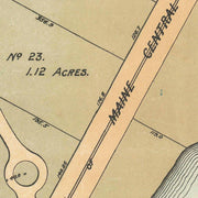 old Buena Vista map