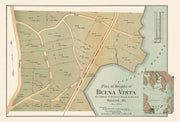 Buena Vista history