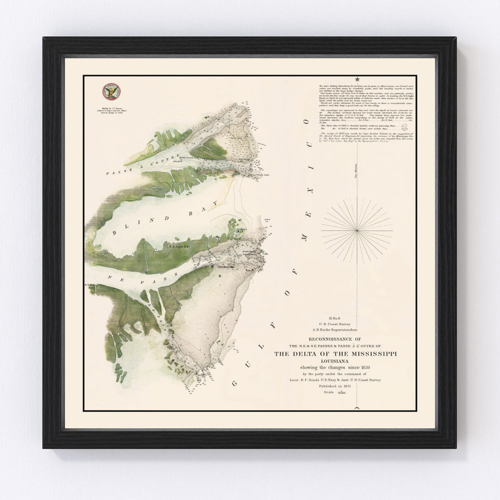 Mississippi River Delta Vintage Map 1851