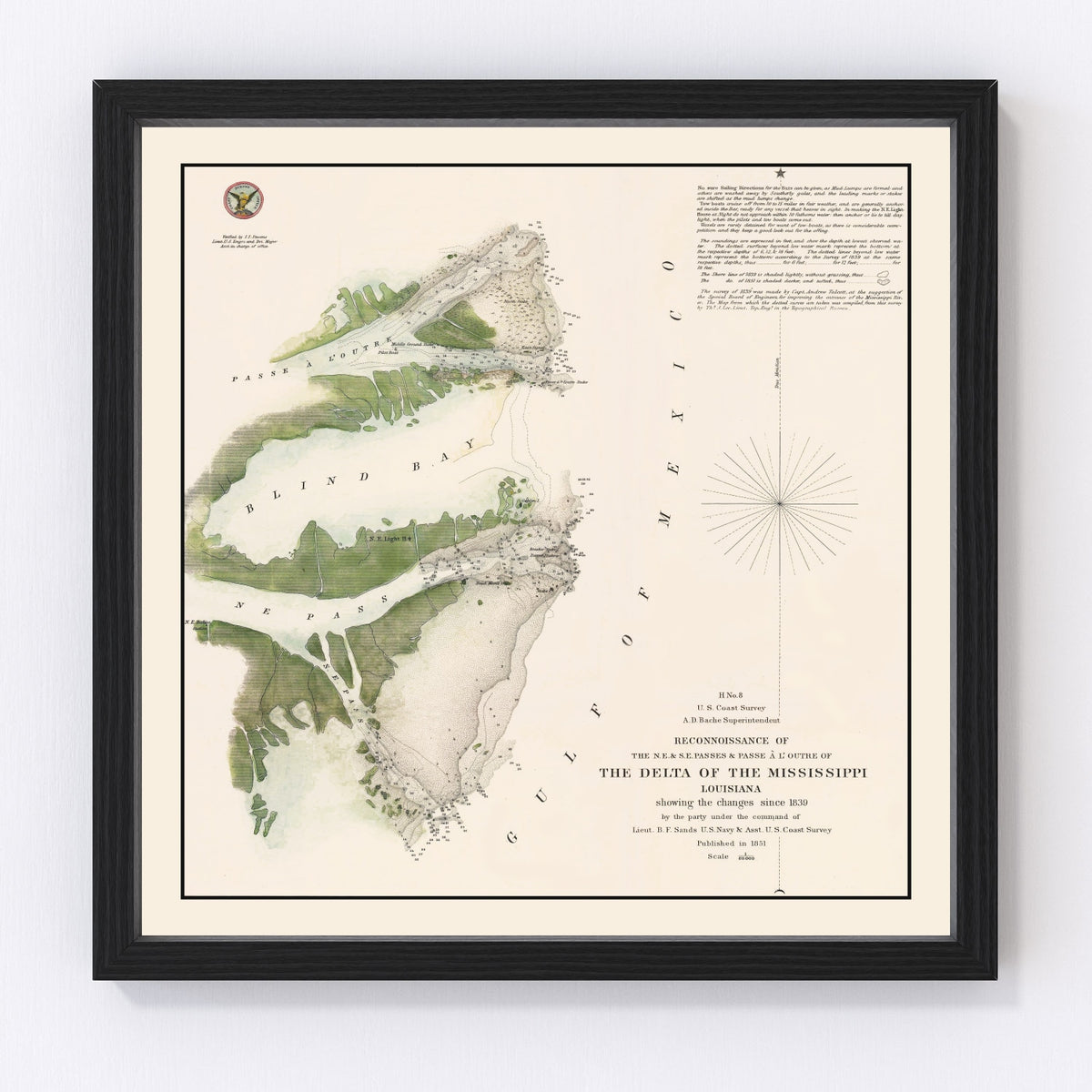 Mississippi River Delta Vintage Map 1851