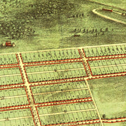 old Alexandria map
