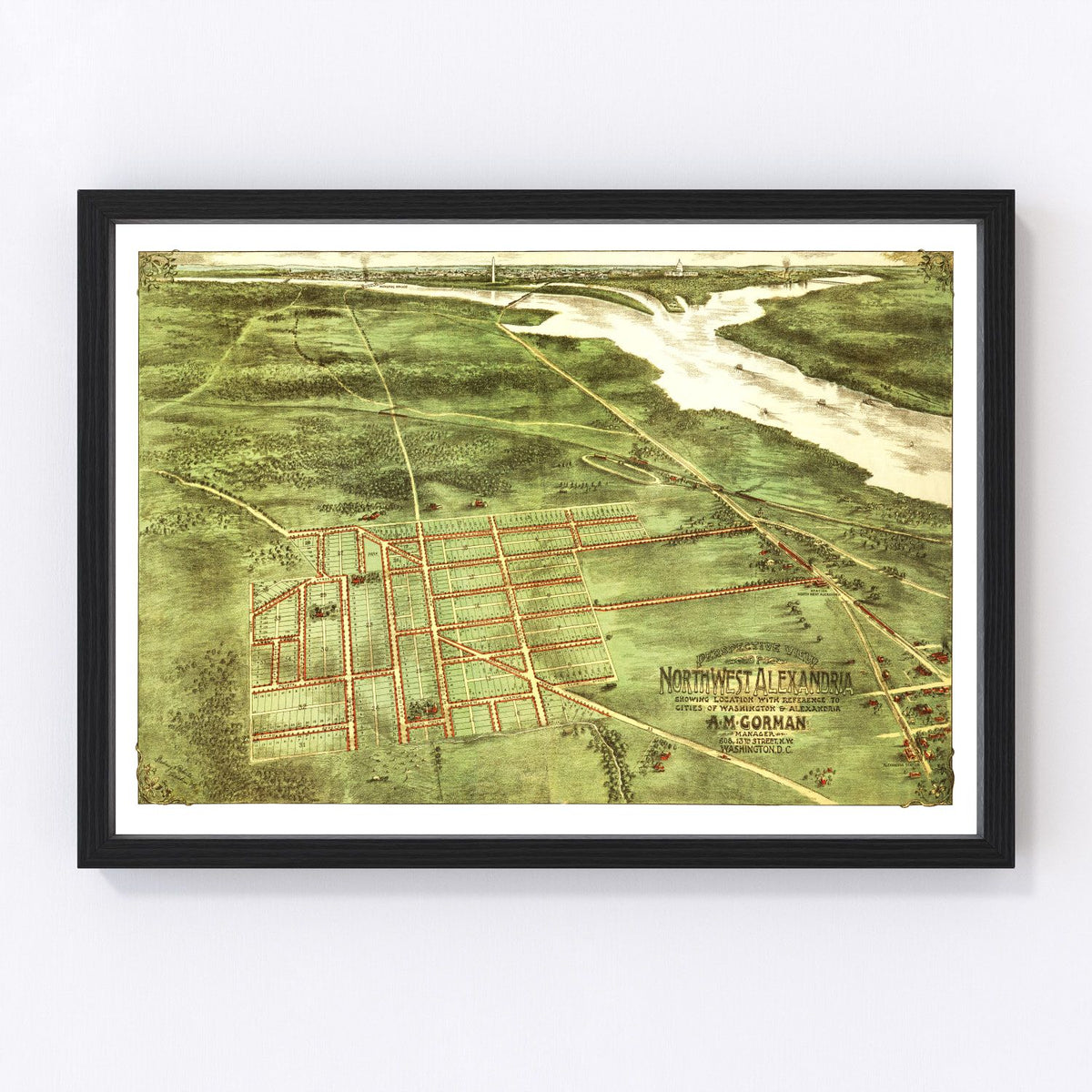 Alexandria Vintage Map 1890