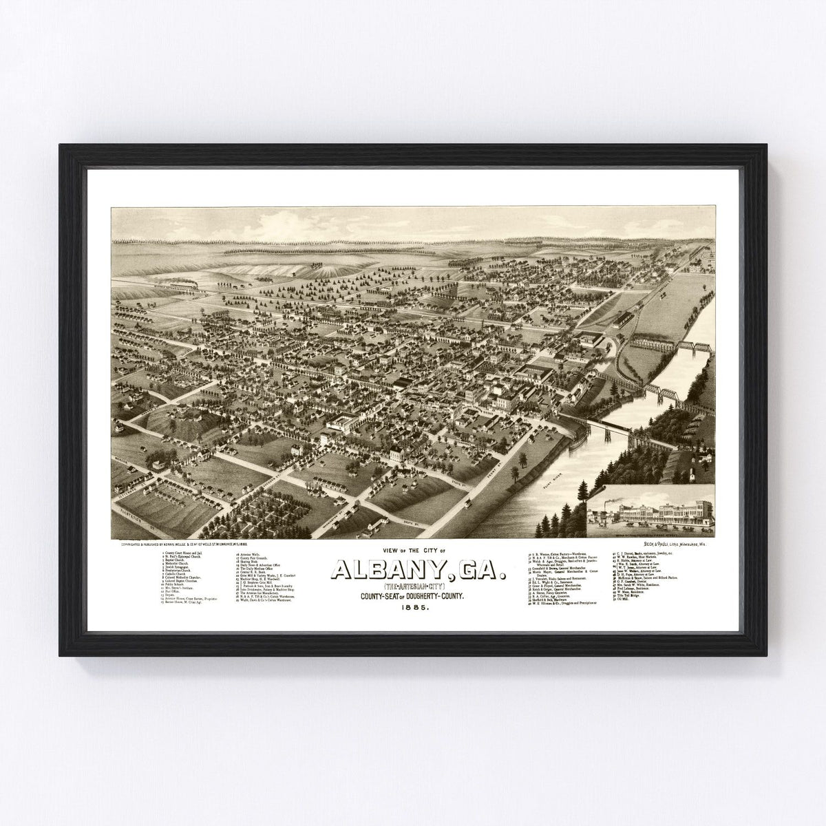 Albany Vintage Map 1885