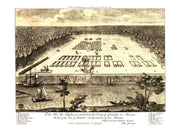 Savannah history