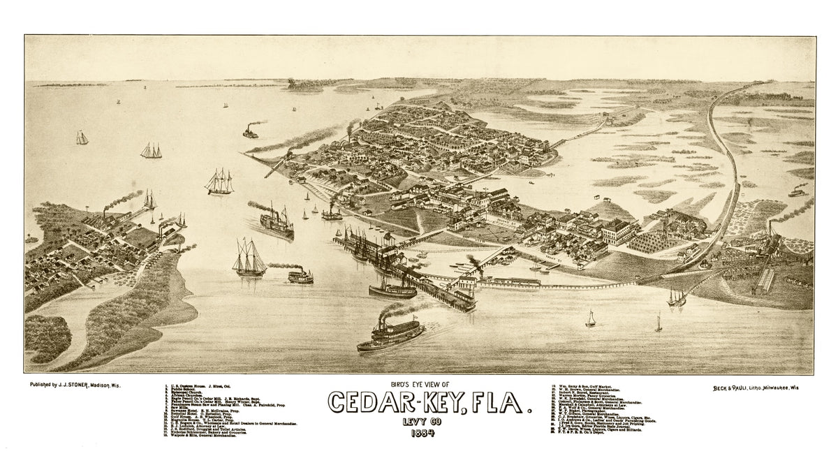 Preview of Vintage Map of Cedar Key, Florida 1884