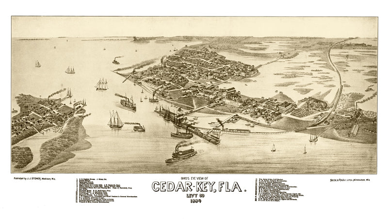 Size comparison using Vintage Map of Cedar Key, Florida 1884