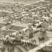 old De Land map