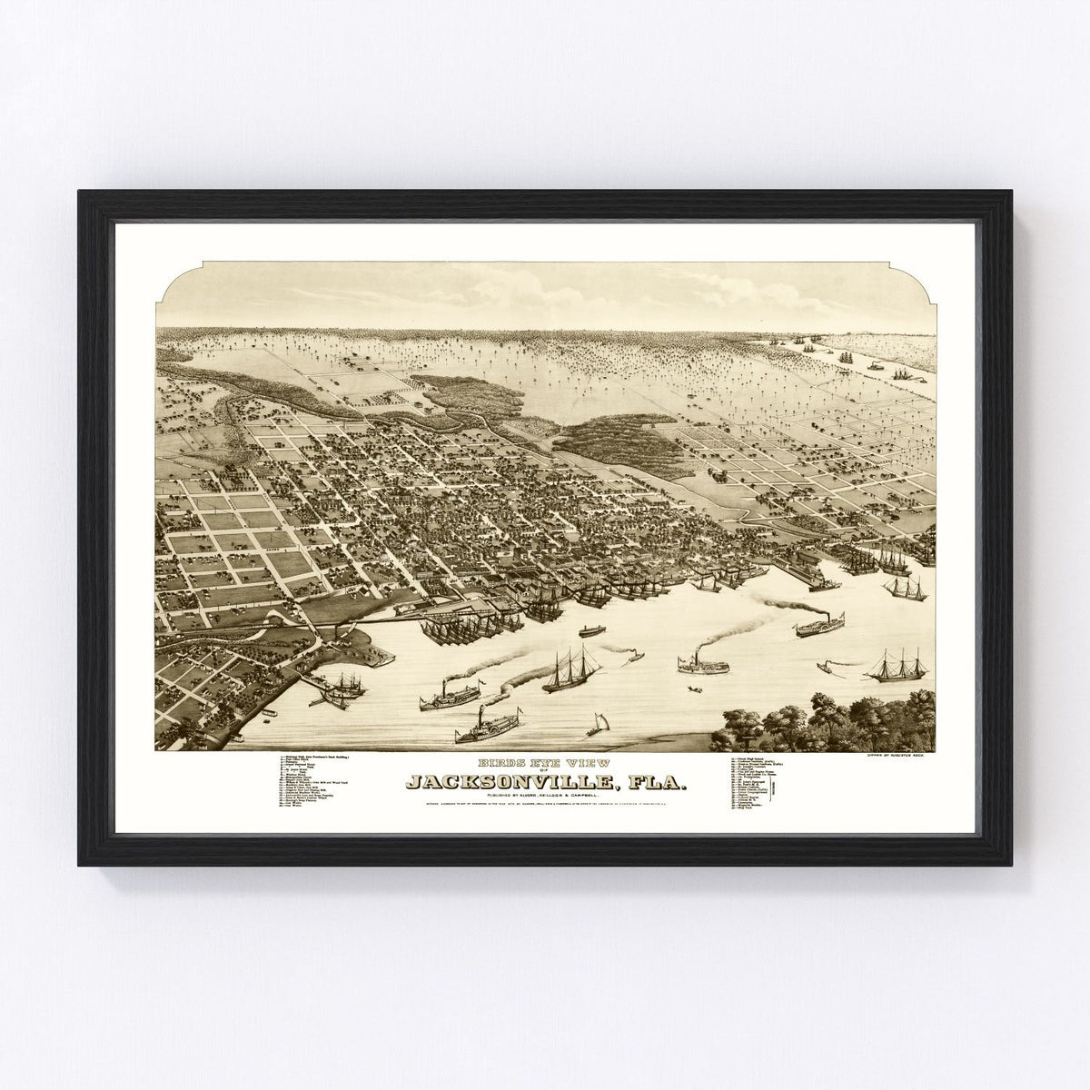 Jacksonville Vintage Map 1876