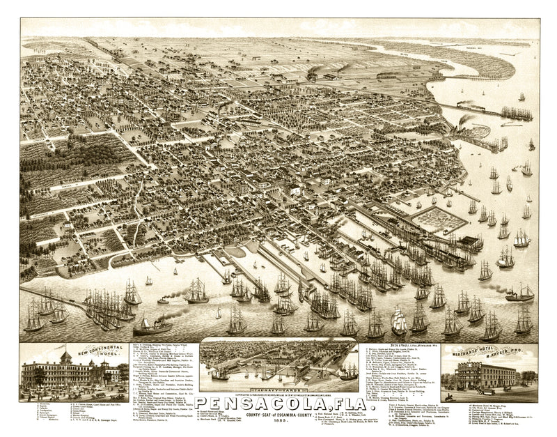 Size comparison using Vintage Map of Pensacola, Florida 1885