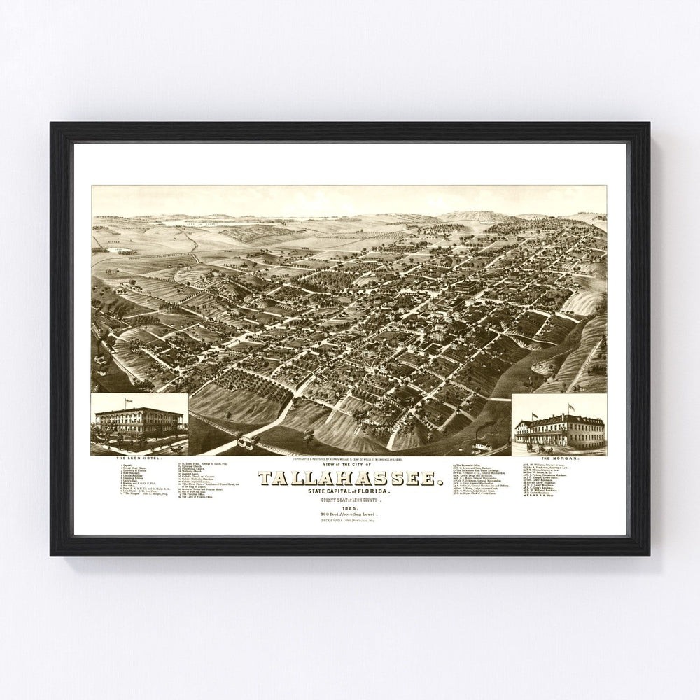 Tallahassee Vintage Map 1885
