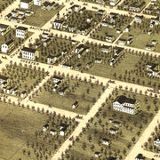 old Jackson map