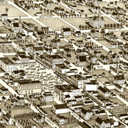 old Hone Grove map