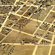 old Champaign map