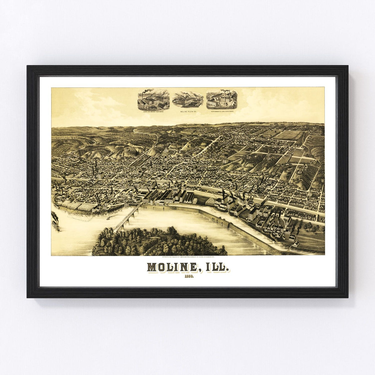 Moline Vintage Map 1889