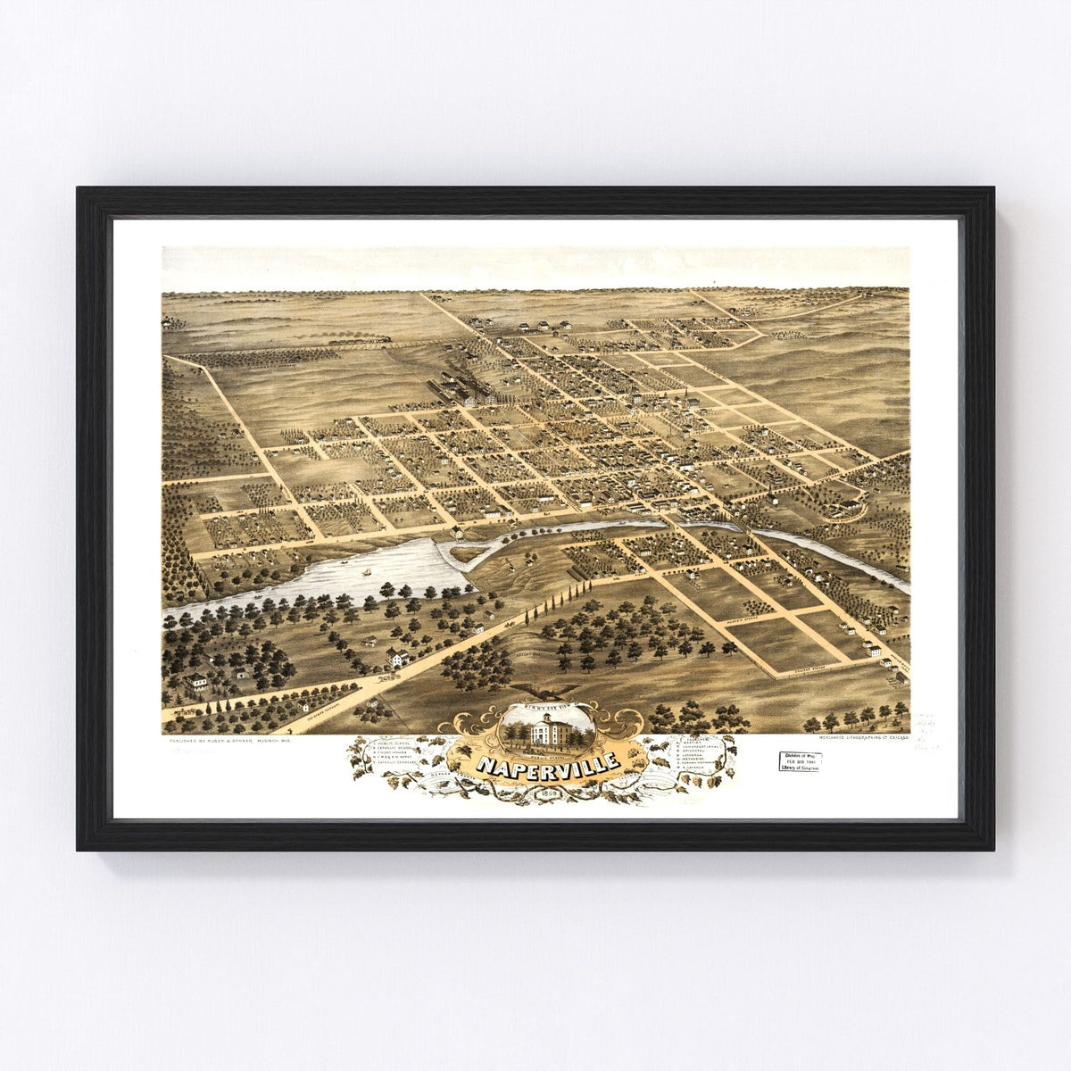 Naperville Vintage Map 1869