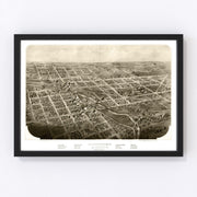 Albion Vintage Map 1868