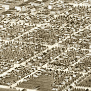 old Ann Arbor map