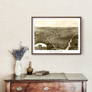 Ionia art