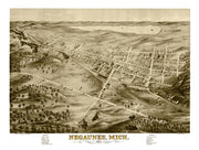 Negaunee history