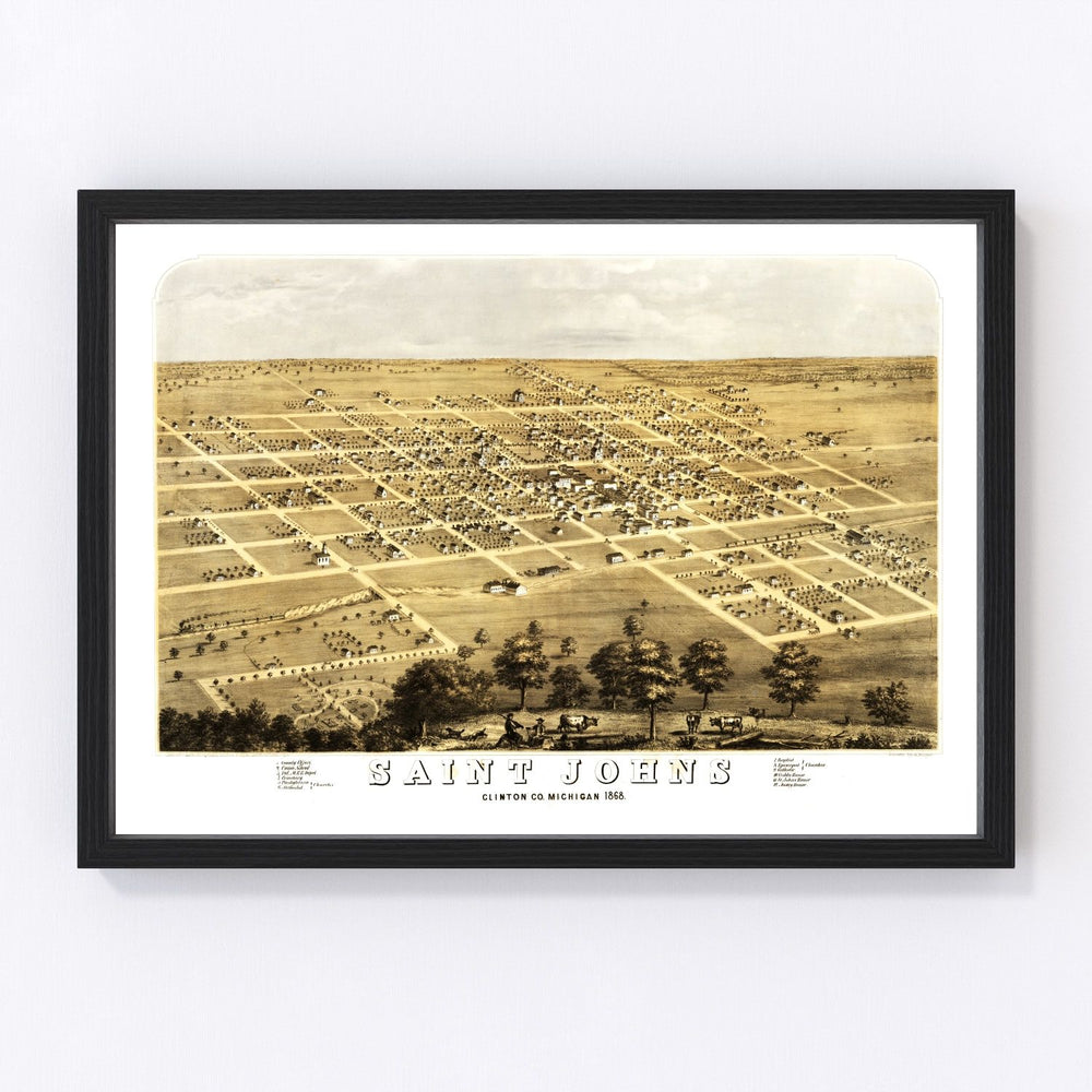 Saint Johns Vintage Map 1868
