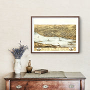 Lyons art