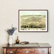 De Witt art