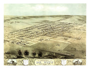 De Witt history