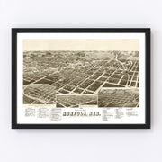 Norfolk Vintage Map 1889