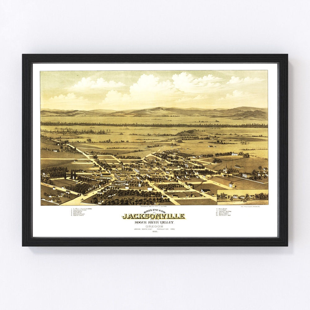 Jacksonville Vintage Map 1883