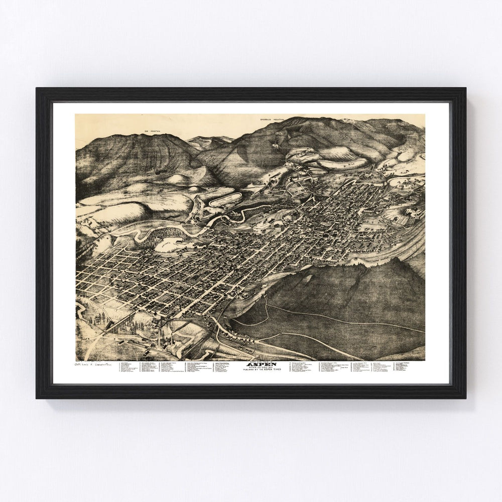 Aspen Vintage Map 1893