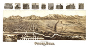Ogden history
