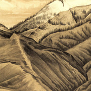 old Ogden map