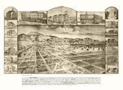 San Jacinto history