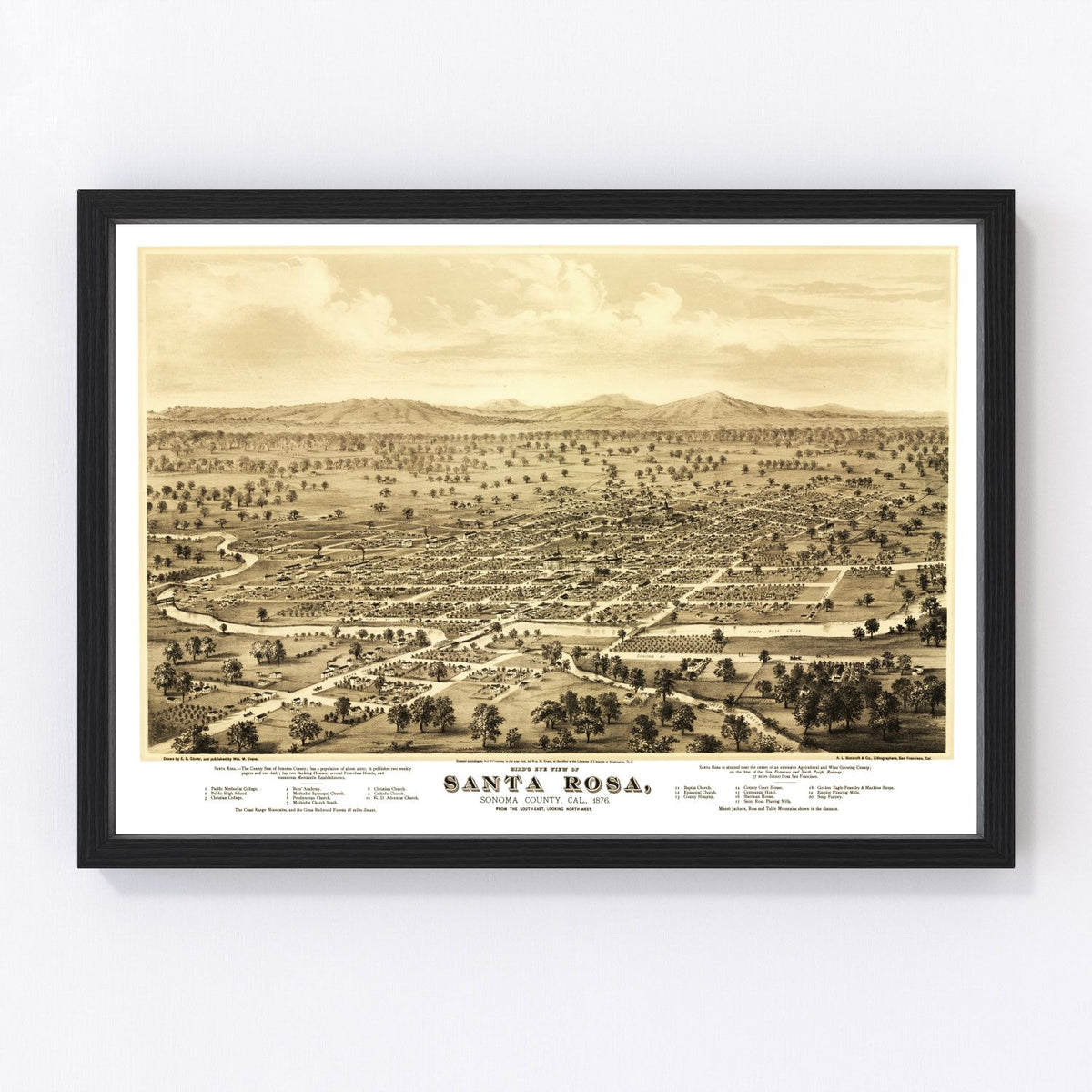 Santa Rosa Vintage Map 1876