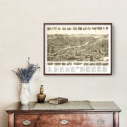 Ansonia art