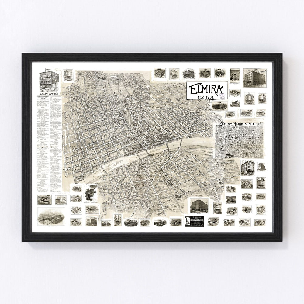 Elmira Vintage Map 1901