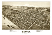 Beaver history