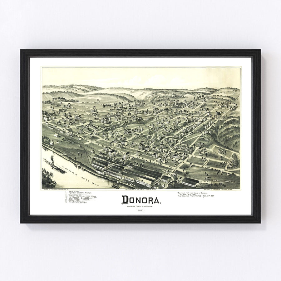 Donora Vintage Map 1901