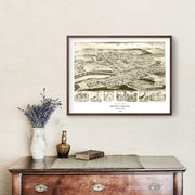 Orbisonia art