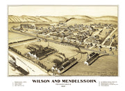 Wilson history