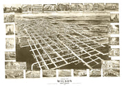 Wilson history