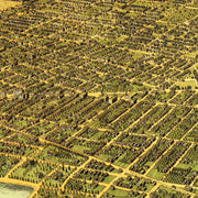 old Oakland map