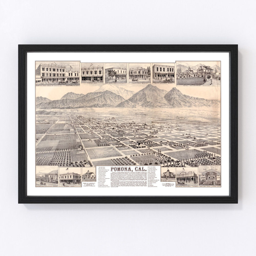 Pomona Vintage Map 1886